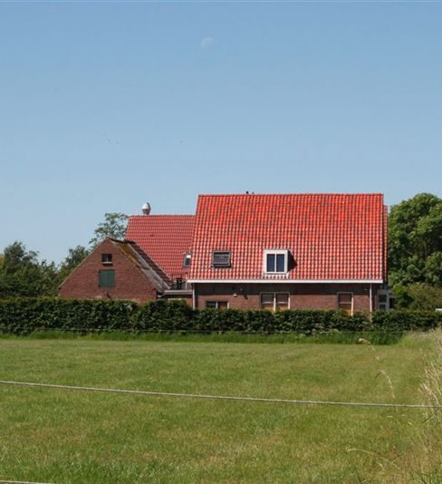 archief: project nieuwe dak 2010
